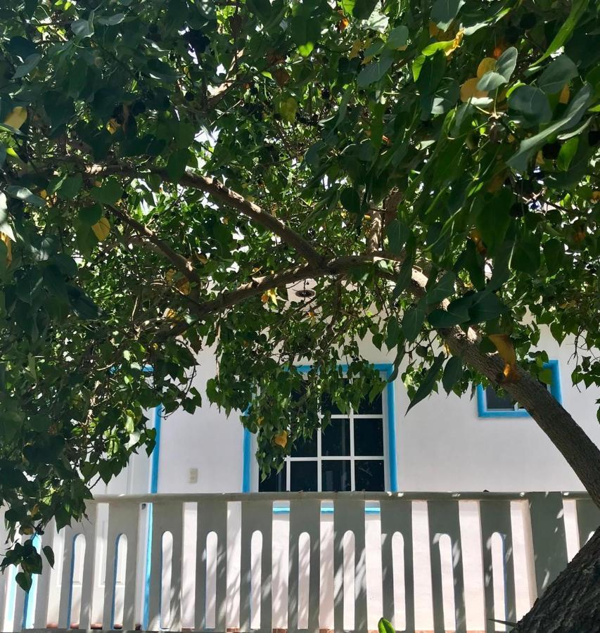 Estudios Rehilete Holbox Extérieur photo