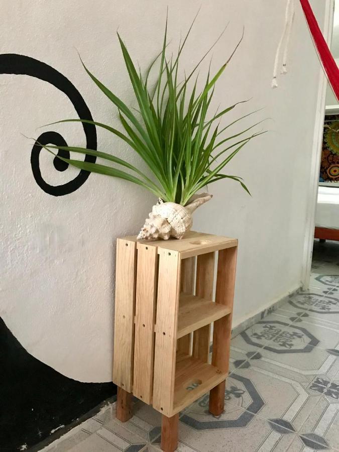 Estudios Rehilete Holbox Extérieur photo