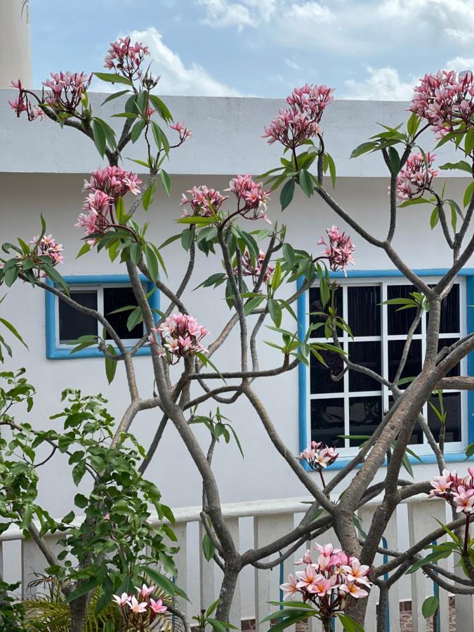 Estudios Rehilete Holbox Extérieur photo
