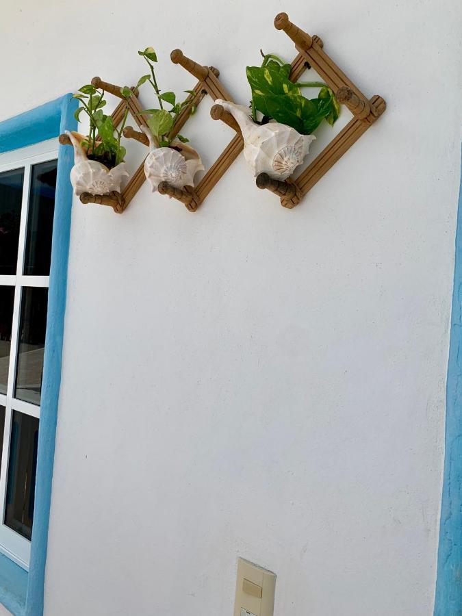 Estudios Rehilete Holbox Extérieur photo