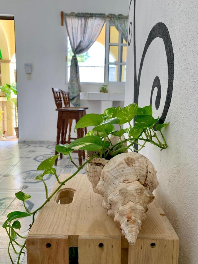 Estudios Rehilete Holbox Extérieur photo